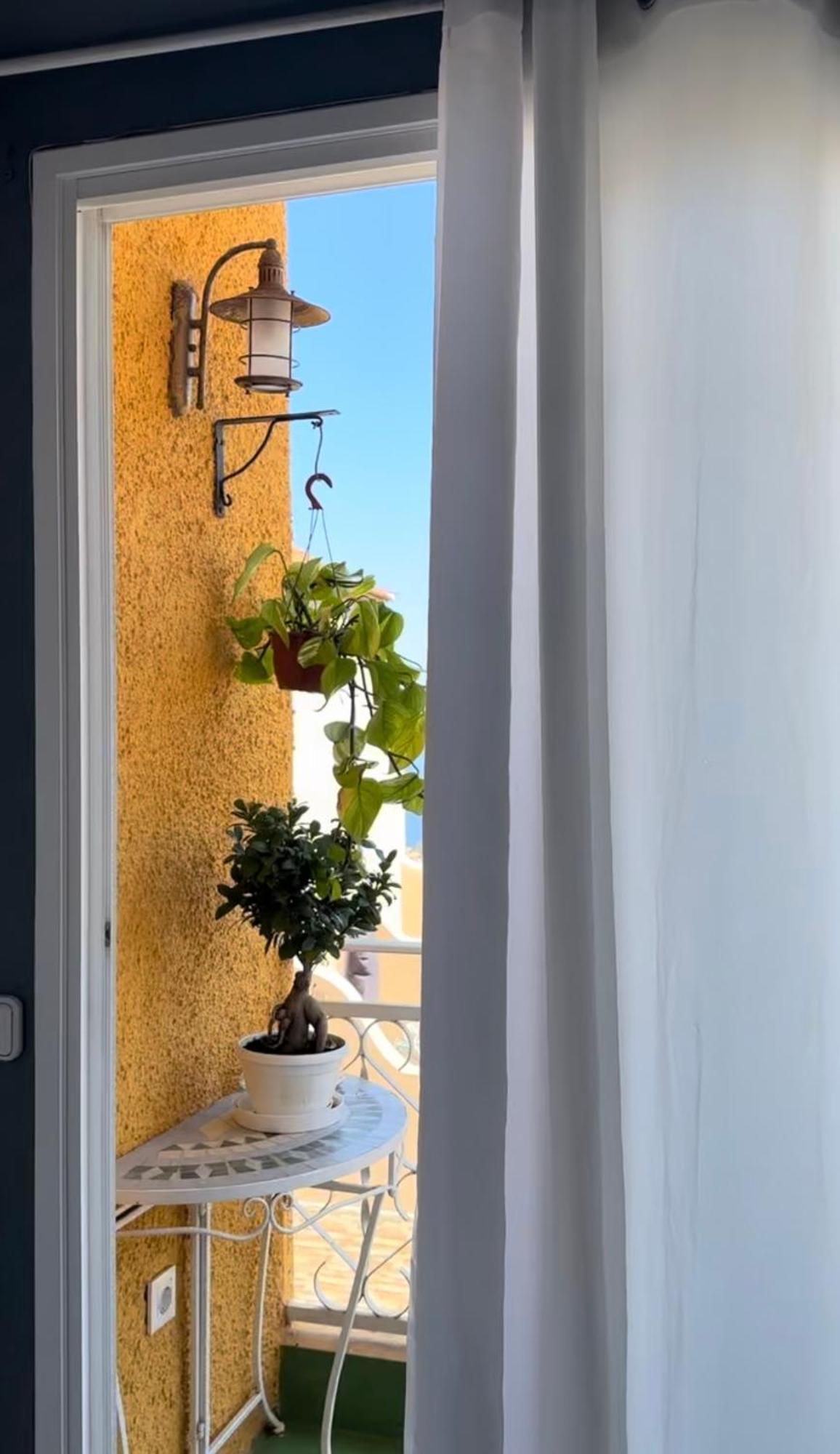 Vistas Los Pinos La Orotava Kültér fotó